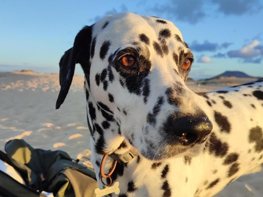 Fuerteventura Casa Tikuna Ла-Олива Экстерьер фото